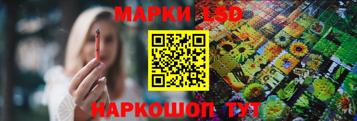 Бердск  Лсд 25 экстази кислота  Вход с VPN 