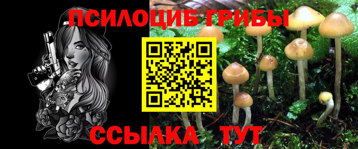 Бердск  Псилоцибиновые грибы прущие грибы  Вход с VPN 